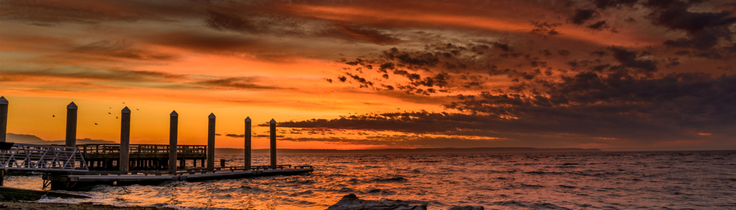 Website Sunset